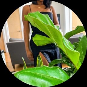 Meet your Posher, Leslie